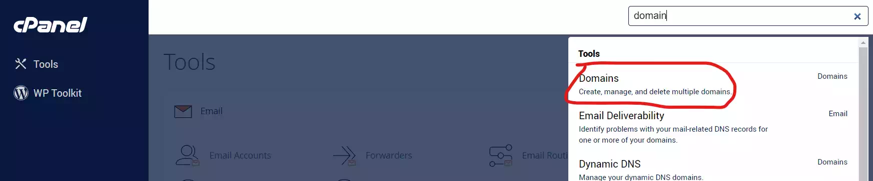 Cara Menambahkan Addon Domain cPanel di Theme Jupiter - 1