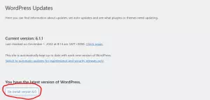 Cara Downgrade Versi WordPress - 5