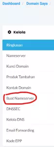 Cara Mengatasi Custom Name Server Tidak Resolve 1-2