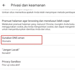 Cara Menggunakan DNS Browser - Android - 3