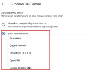 Cara Menggunakan DNS Browser - Android - 4