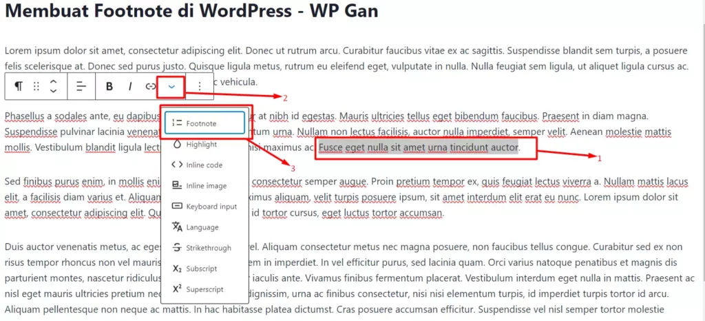 Cara Membuat Footnote di WordPress - 3