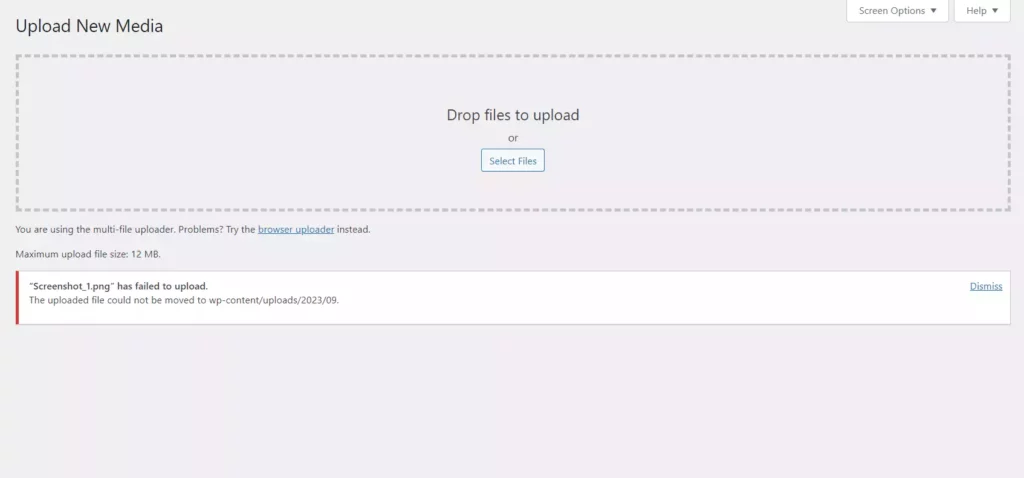Fix the Uploaded File Could Not Be Moved to wp–content - 0-1