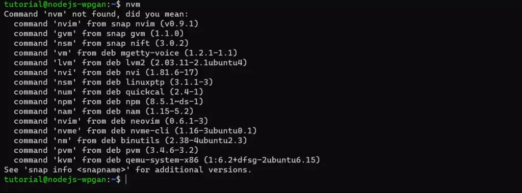 Cara Install Node JS di Ubuntu 22.04 - 3-1