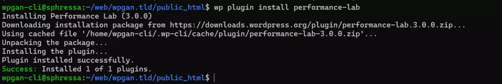 Cara Install Plugin WordPress Menggunakan WP-CLI - 3-1