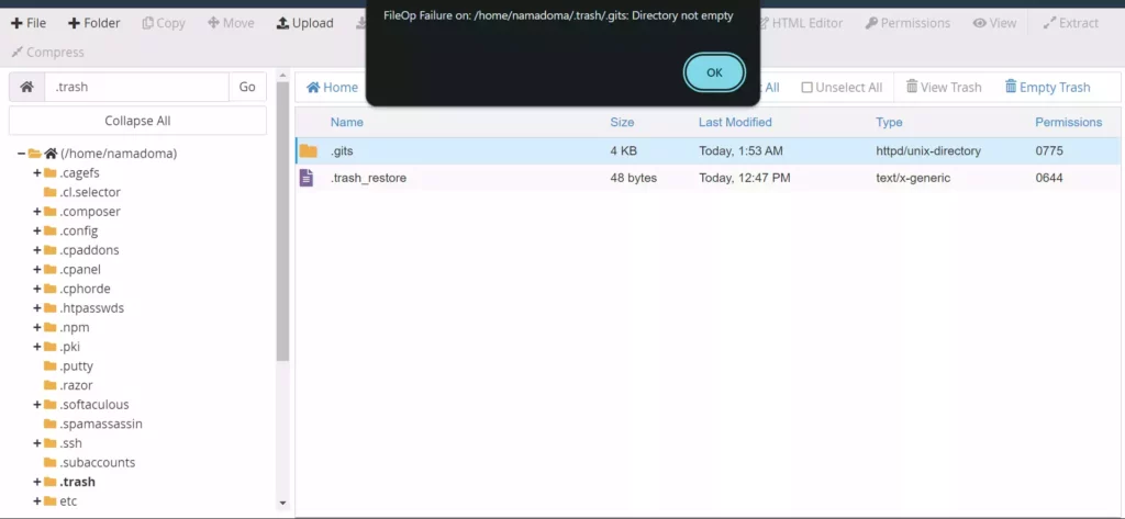 Cara Mengatasi FileOp Failure On Directory not empty di cPanel