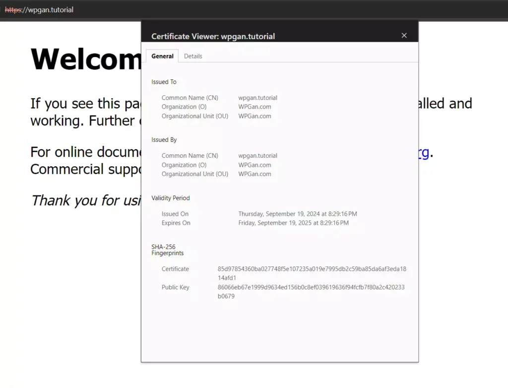 Cara Install SSL di Nginx Server - 5-1