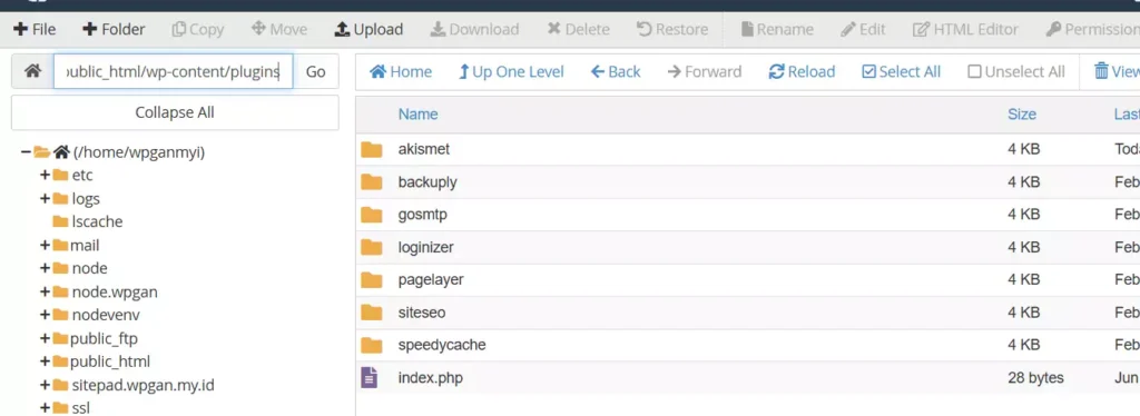 Cara Menonaktifkan Plugin WordPress Tanpa Login - 1-3