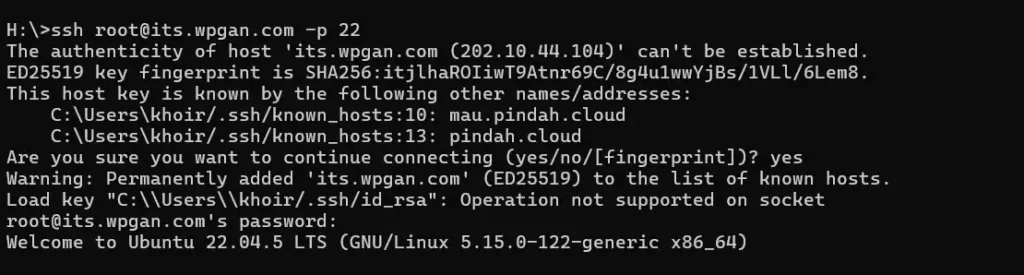 Cara Mencari File Besar di VPS Linux - 1