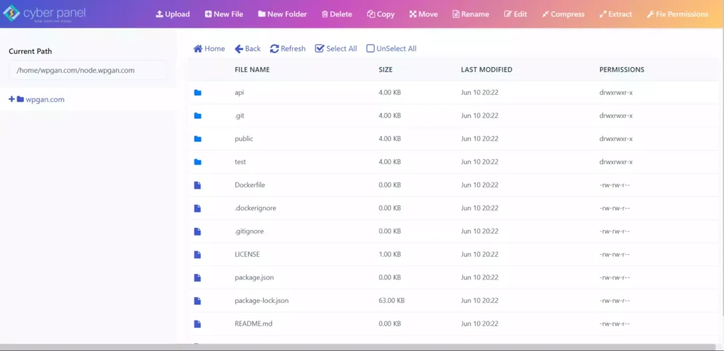 Cara Install NodeJS di Cyberpanel - 2