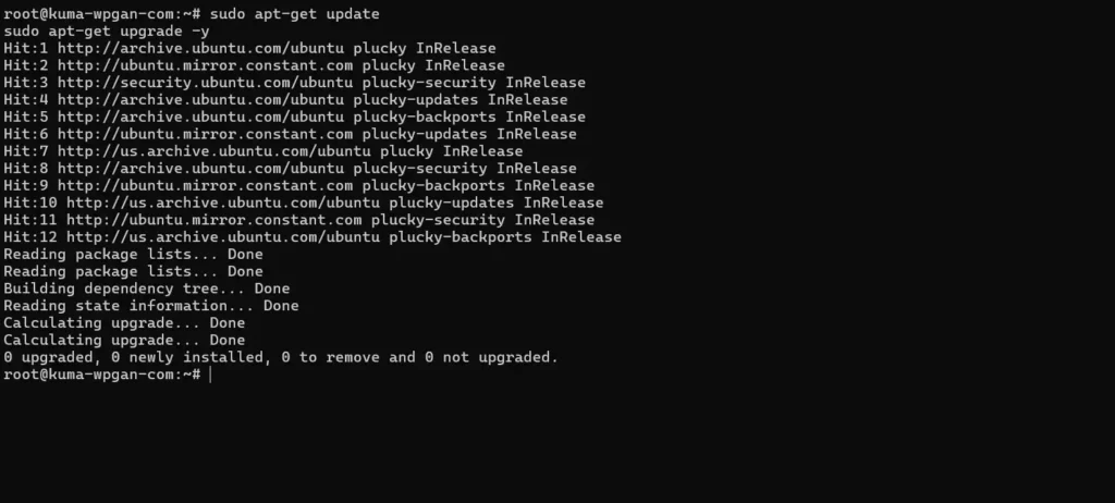 Cara Konfigurasi Reverse Proxy dengan Nginx - 2