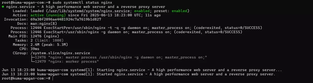 Cara Konfigurasi Reverse Proxy dengan Nginx - 3
