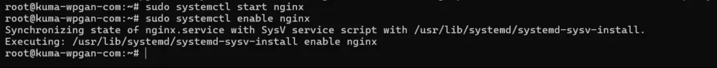 Cara Konfigurasi Reverse Proxy dengan Nginx - 4