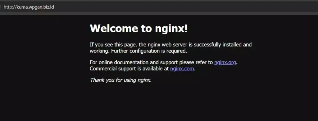 Cara Konfigurasi Reverse Proxy dengan Nginx - 5