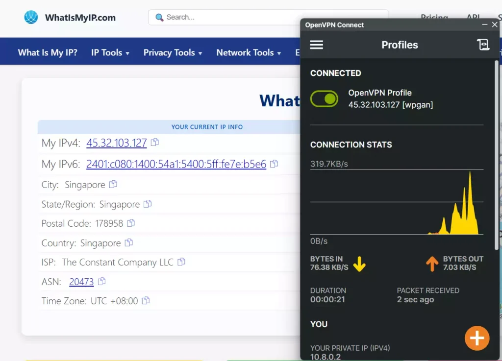 Cara Menggunakan OpenVPN Client - 4