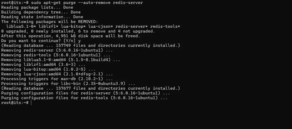 Cara Uninstall Redis di Ubuntu Server - 3