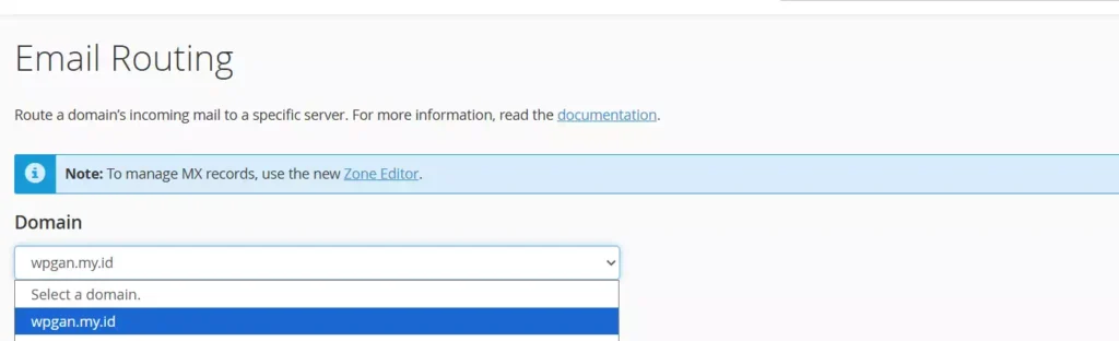 Cara Mengatasi Rejected relay attempt cPanel - 3